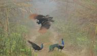 Photo Competition 2073