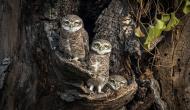 Photo Competition 2073