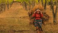 Photo Competition 2073