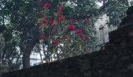 Photo Competition 2073