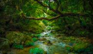 Photo Competition 2073