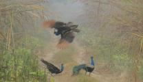 Photo Competition 2073