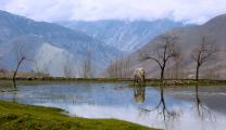 Photo Competition 2071