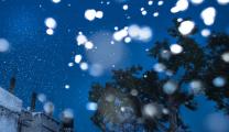 Photo Competition 2073