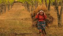 Photo Competition 2073