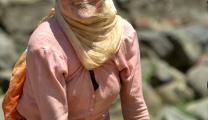 Photo Competition 2071