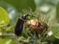Photo Competition 2068