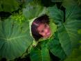 Photo Competition 2073