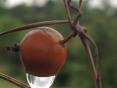 Photo Competition 2068