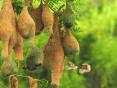 Photo Competition 2067