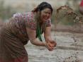 Photo Competition 2071