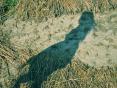 Photo Competition 2067