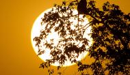 Photo Competition 2068